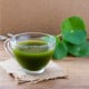 Gotu kola - Centella asiatica - čajové sáčky - 20 x 1,5 g