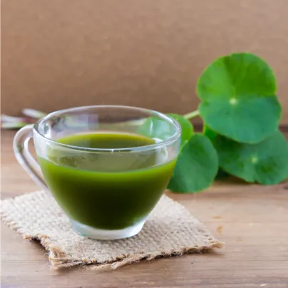 Gotu kola - Centella asiatica - čajové sáčky - 20 x 1,5 g