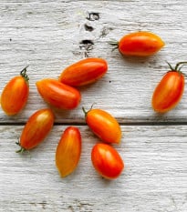 BIO Rajče Blush - Solanum lycopersicum - bio osivo rajčat - 6 ks