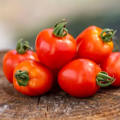 Rajče Jahodo - Solanum lycopersicum - osivo rajčat - 25 ks