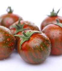 Rajče Tigrino - Solanum lycopersicum - osivo rajčat - 25 ks