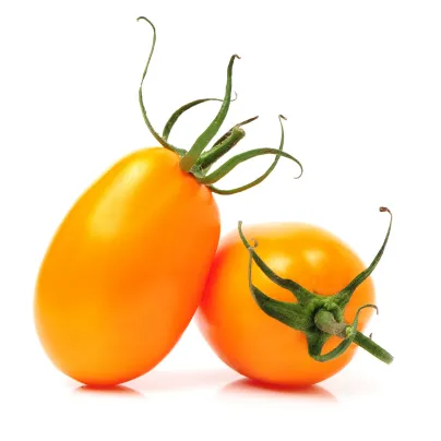 Rajče Datlo - Solanum lycopersicum - osivo rajčat - 10 ks