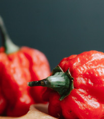 Chilli Trinidad Scorpion Butch - Capsicum chinense - osivo chilli - 5 ks