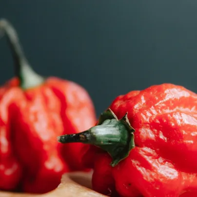 Chilli Trinidad Scorpion Butch - Capsicum chinense - osivo chilli - 5 ks