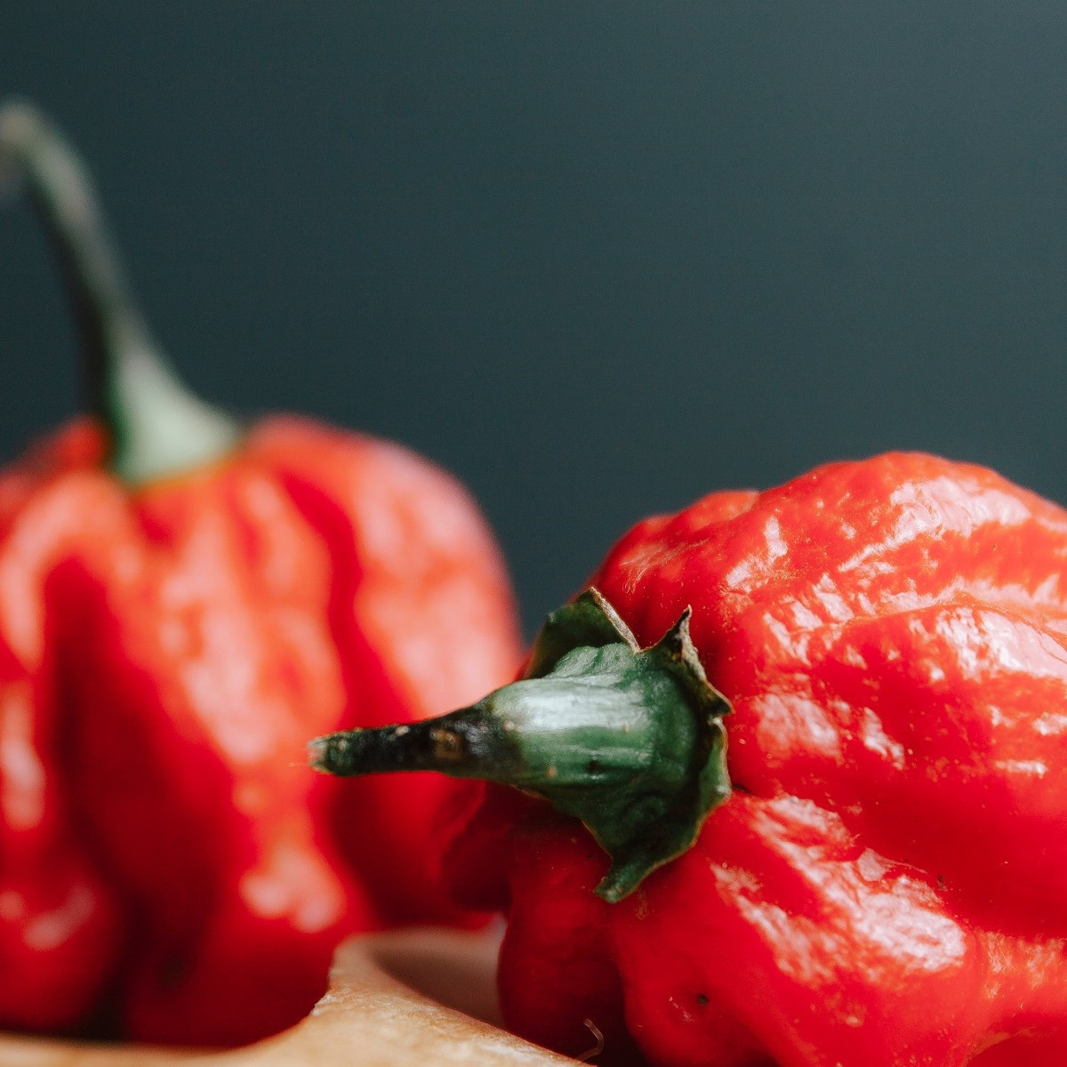 Chilli Trinidad Scorpion Butch - Capsicum chinense - osivo chilli - 5 ks