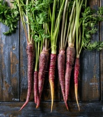 BIO Mrkev fialová Gniff - Daucus carota - bio osivo mrkve - 400 ks