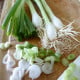 BIO Cibule jarní Bílý Lisabon - Allium cepa - bio osivo cibule - 100 ks