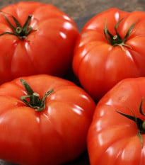 Rajče Buffalosteak F1 - Solanum lycopersicum - osivo rajčat - 6 ks