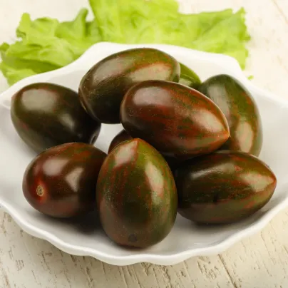 BIO Rajče tyčkové Black Plum - Solanum lycopersicum - bio osivo rajčat - 7 ks