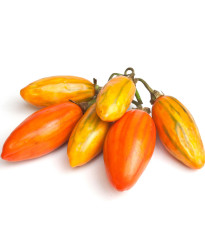 Okrasný lilek Striped Toga - Solanum melongena - osivo lilku - 10 ks
