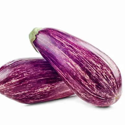 Okrasný lilek Tsakoniki - Solanum melongena - osivo lilku - 10 ks