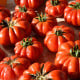 BIO Rajče Bührer-Keel - Solanum lycopersicum - bio osivo rajčat - 8 ks
