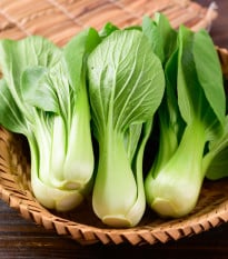 Pak Choi Shanghai - Brassica rapa chinensis - osivo pak choi - 200 ks