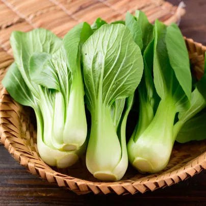 Pak Choi Shanghai - Brassica rapa chinensis - osivo pak choi - 200 ks