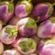 BIO Lilek Rosa Bianca - Solanum melongena - bio osivo lilku - 8 ks