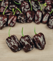 Chilli Brazilský pepř - Capsicum Chinense - osivo chilli - 6 ks