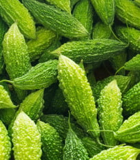 Okurka hořká Naja - Momordica sp. - osivo okurky - 6 ks