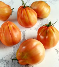 BIO Rajče Coure di Bue oranžové - Solanum lycopersicum - bio osivo rajčat - 8 ks