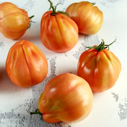 BIO Rajče Coure di Bue oranžové - Solanum lycopersicum - bio osivo rajčat - 8 ks