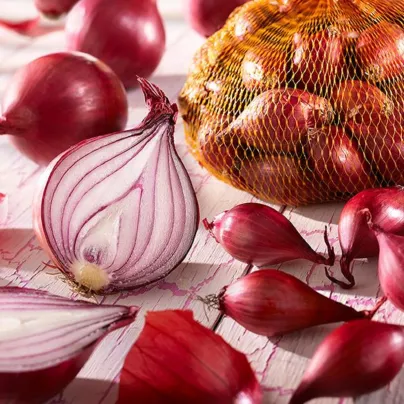 Cibule červená sazečka Rote - Allium cepa - cibulky sazečky - 250 g