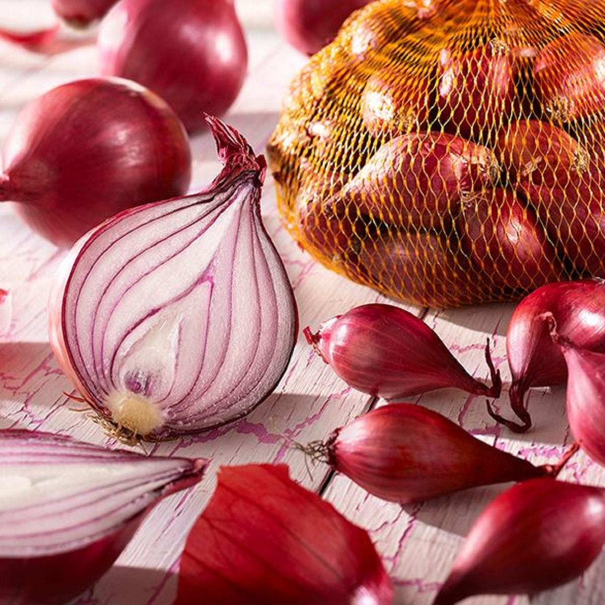 Cibule červená sazečka Rote - Allium cepa - cibulky sazečky - 250 g