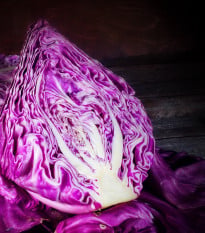 BIO Zelí červené Kalibos - Brassica oleracea capitata - bio osivo zelí - 30 ks