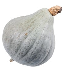 Tykev Baby Blue - Cucurbita maxima - osivo tykve - 5 ks