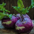 Kedluben raný modrý - Brassica oleracea - osivo kedlubny - 50 ks