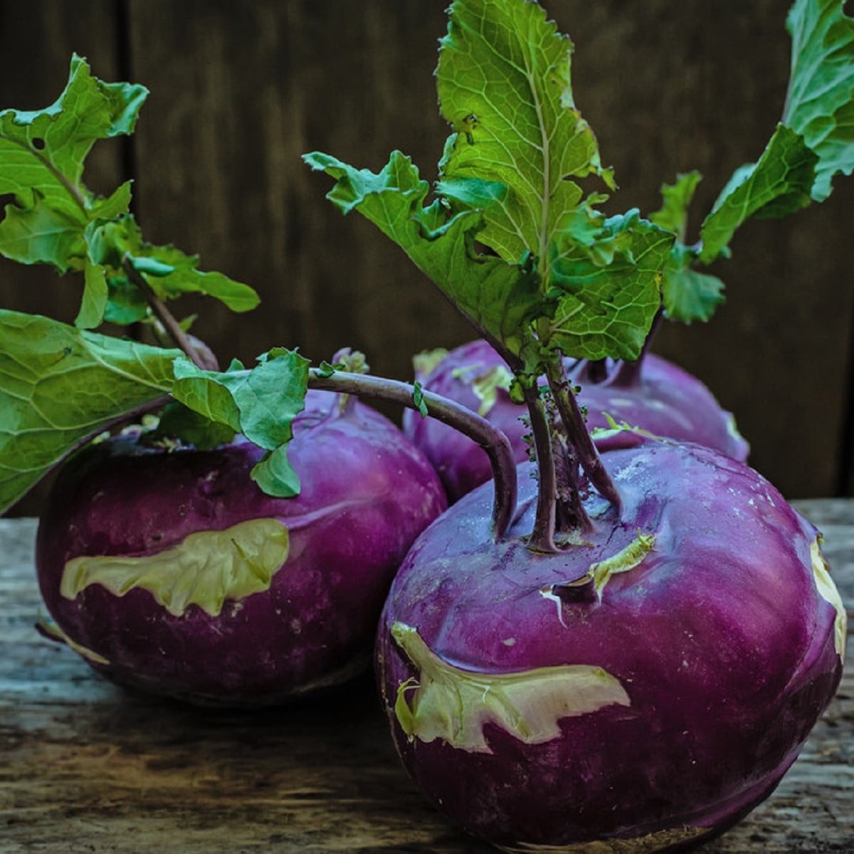 Kedluben raný modrý - Brassica oleracea - osivo kedlubny - 50 ks