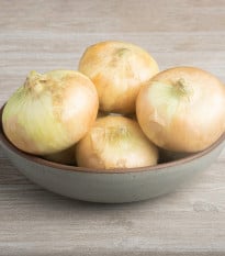 Cibule žlutá štutgartská - Allium cepa - osivo cibule - 250 ks