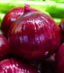 Cibule červená Braunschweiger - Allium cepa - osivo cibule - 250 ks