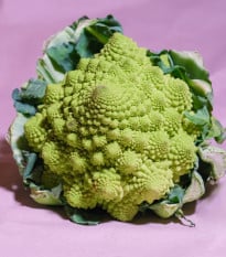 Květák Veronica - Brassica oleracea L. convar. botrys - osivo květáku - 10 ks
