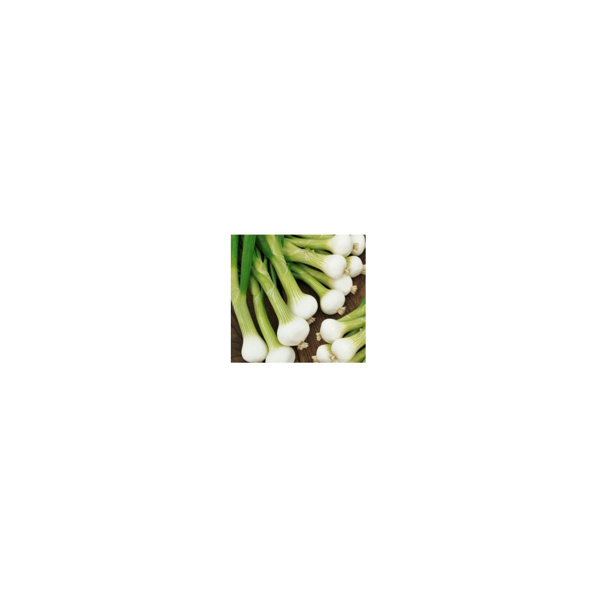 Cibule jarní bílá lahůdková - Allium cepa - osivo cibule - 1 g