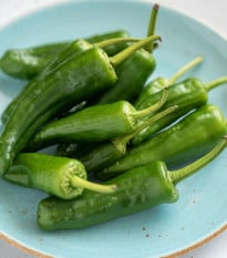 BIO Chilli Pimientos De Padron - Capsicum annuum - bio osivo chilli - 7 ks