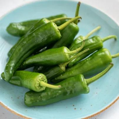 BIO Chilli Pimientos De Padron - Capsicum annuum - bio osivo chilli - 7 ks
