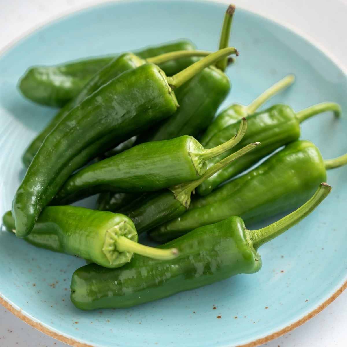 BIO Chilli Pimientos De Padron - Capsicum annuum - bio osivo chilli - 7 ks