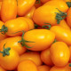 BIO Rajče Banana Legs - Solanum lycopersicum - bio osivo rajčat - 7 ks