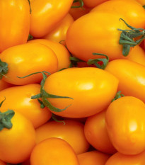 BIO Rajče Banana Legs - Solanum lycopersicum - bio osivo rajčat - 7 ks