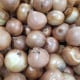 Cibule žlutá Zittauer - Allium cepa - osivo cibule - 270 ks