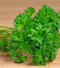 BIO Petržel Mooskrause - Petroselinum Crispum - bio osivo petržele - 300 ks
