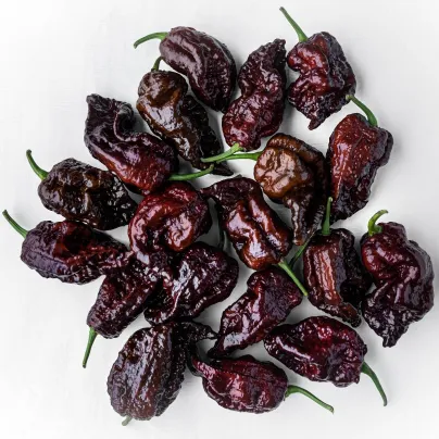 Chilli Carolina Reaper Chocolate - Capsicum Chinense - osivo chilli - 5 ks