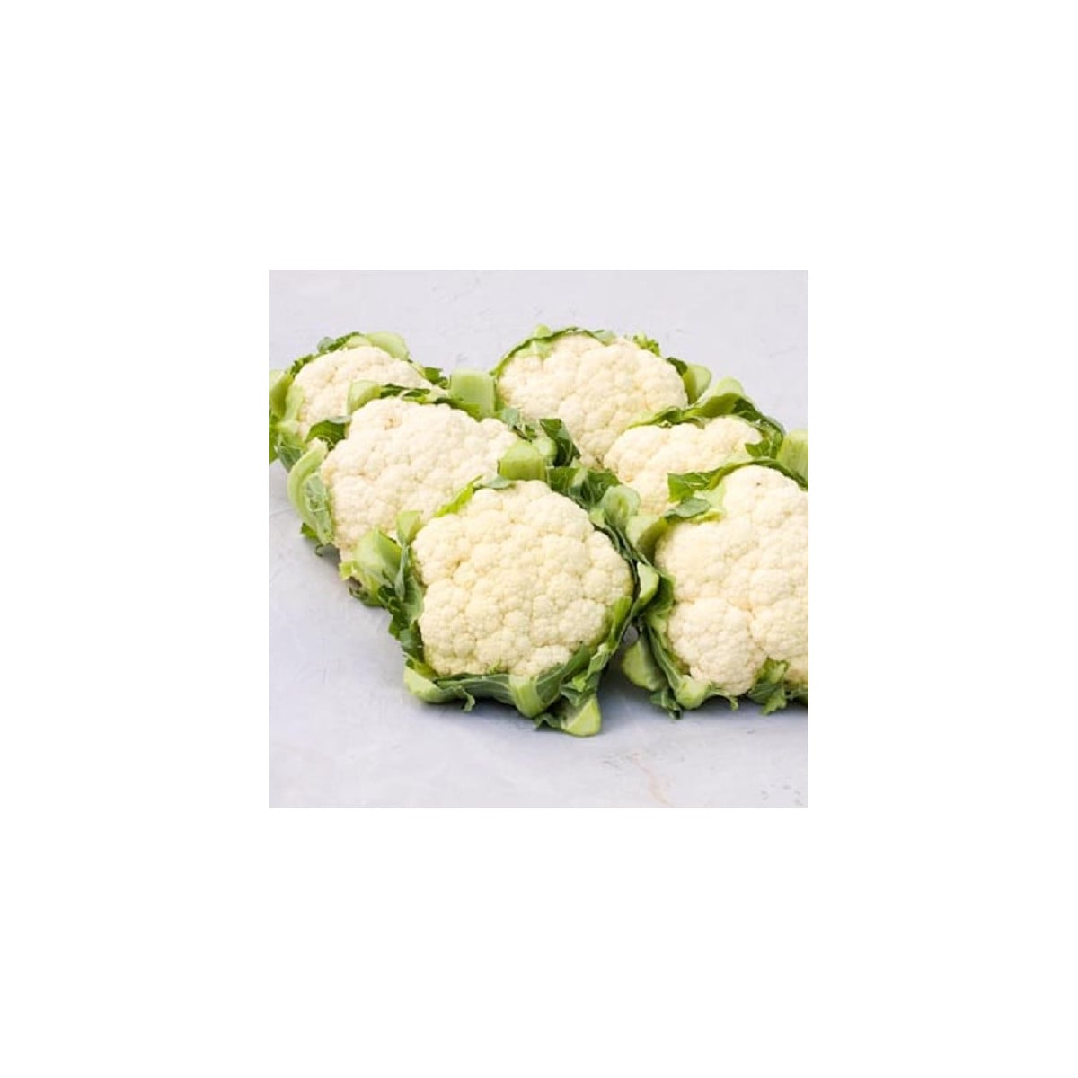 BIO Květák Amabile KS - Brassica oleracea - bio osivo květáku - 20 ks