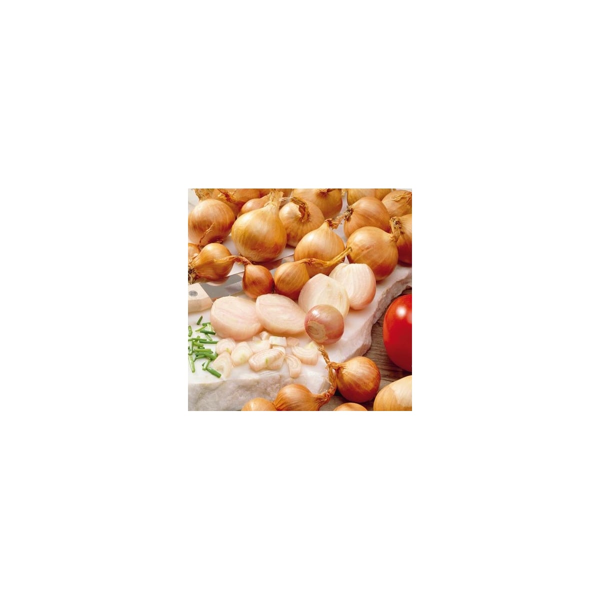 Cibule žlutá Zittauer - Allium cepa - osivo cibule - 270 ks