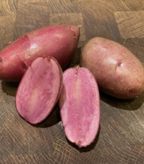 Sadbové brambory Heiderot - Solanum tuberosum - Kiepenkerl - sadba - 5 ks