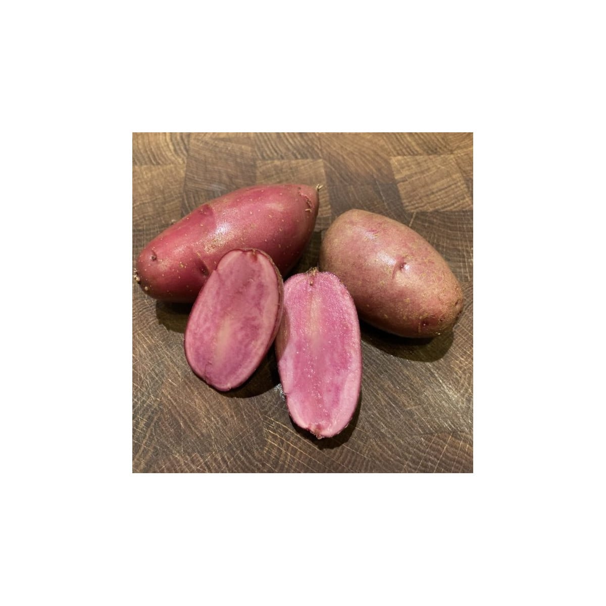 Sadbové brambory Heiderot - Solanum tuberosum - Kiepenkerl - sadba - 5 ks