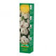 Růže velkokvětá pnoucí bílá - Rosa - prostokořenná sazenice růže - 1 ks
