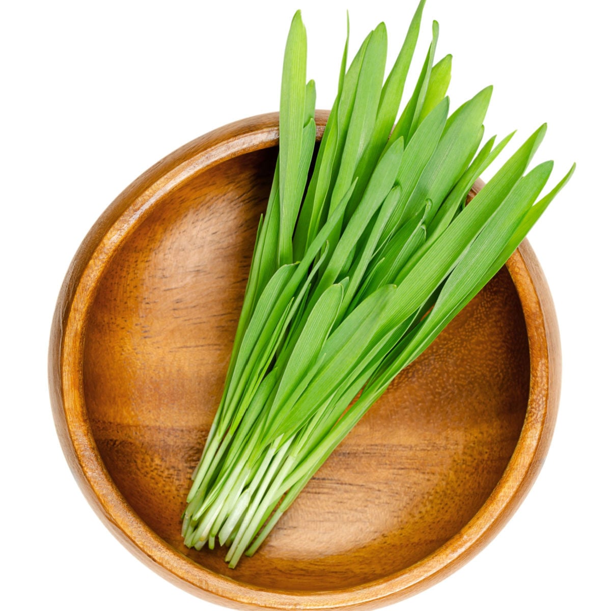 Velikonoční osení - ječmen jarní - 250 g