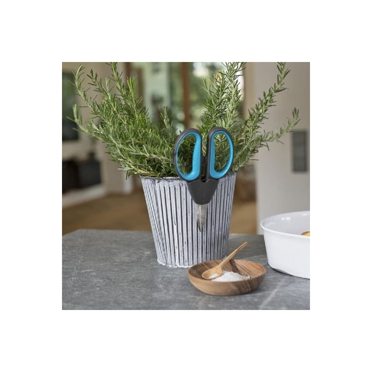 Nůžky na bylinky - HerbCut - pěstební pomůcky - 1 ks