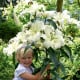 Lilie Pretty Woman - Lilium - cibule lilií - 1 ks