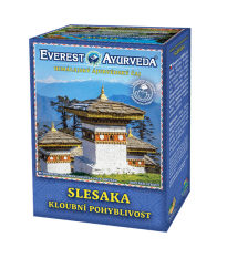Slesaka - ájurvédský čaj bylinný - 100 g